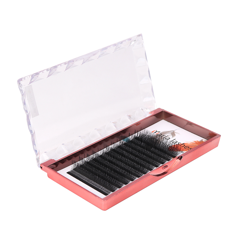 MARIA 10 casos 4D W en forma d - Eyelash Extension Logo reseña y precio