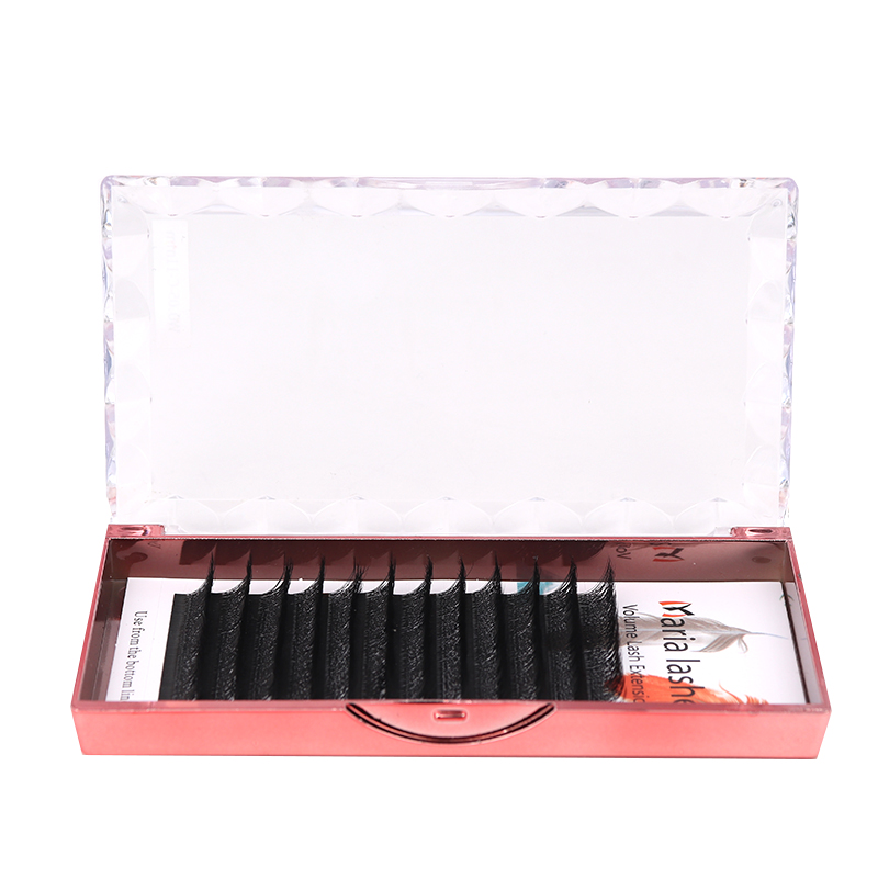 MARIA 10 casos 4D W en forma d - Eyelash Extension Logo reseña y precio